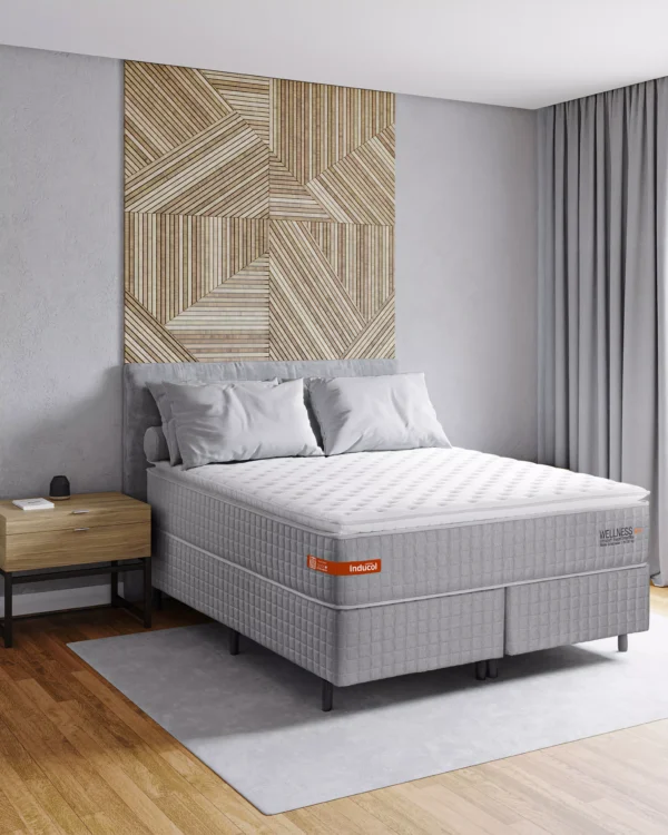 Box Inducol Wellness